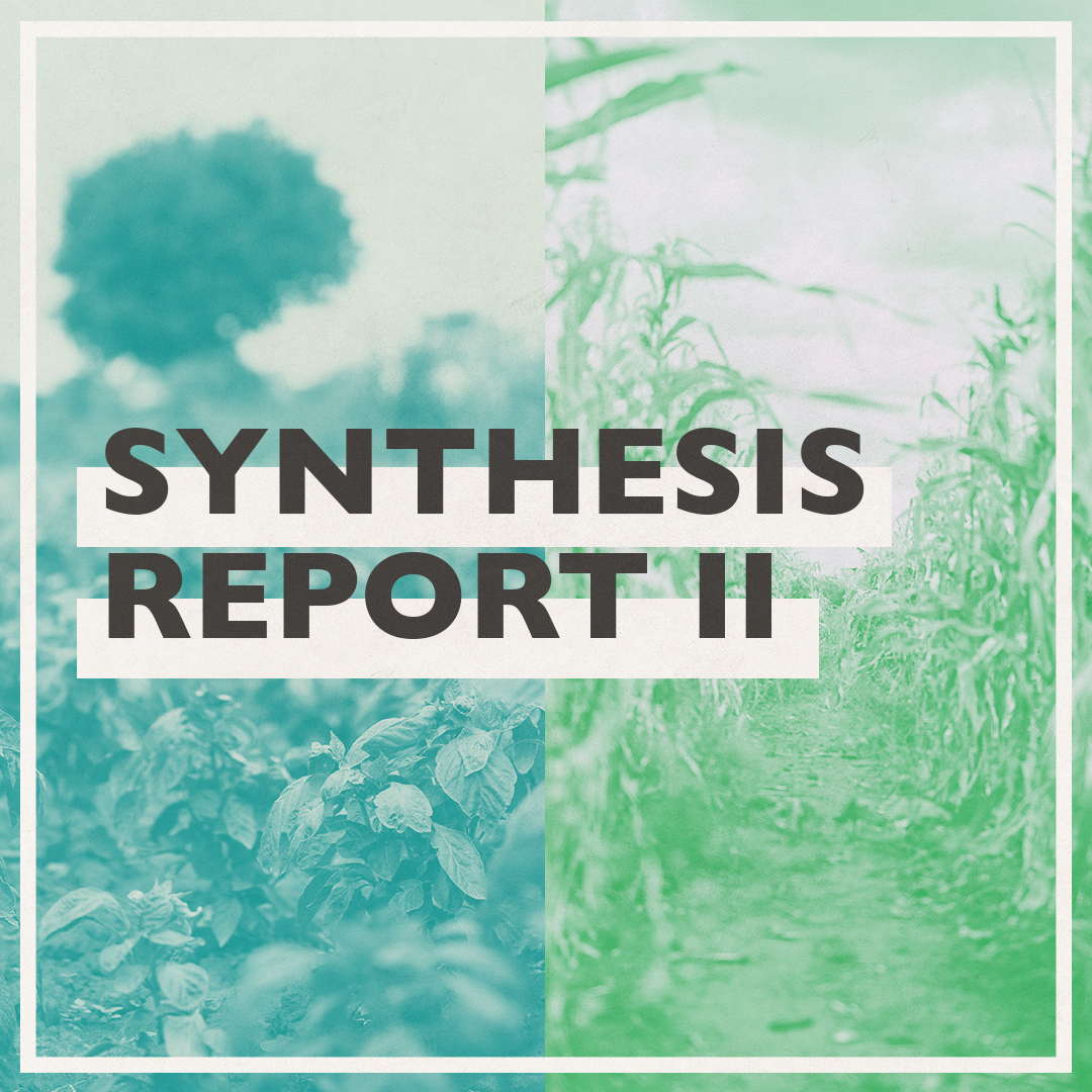 Synthesis Report 2 Social Graphic V2
